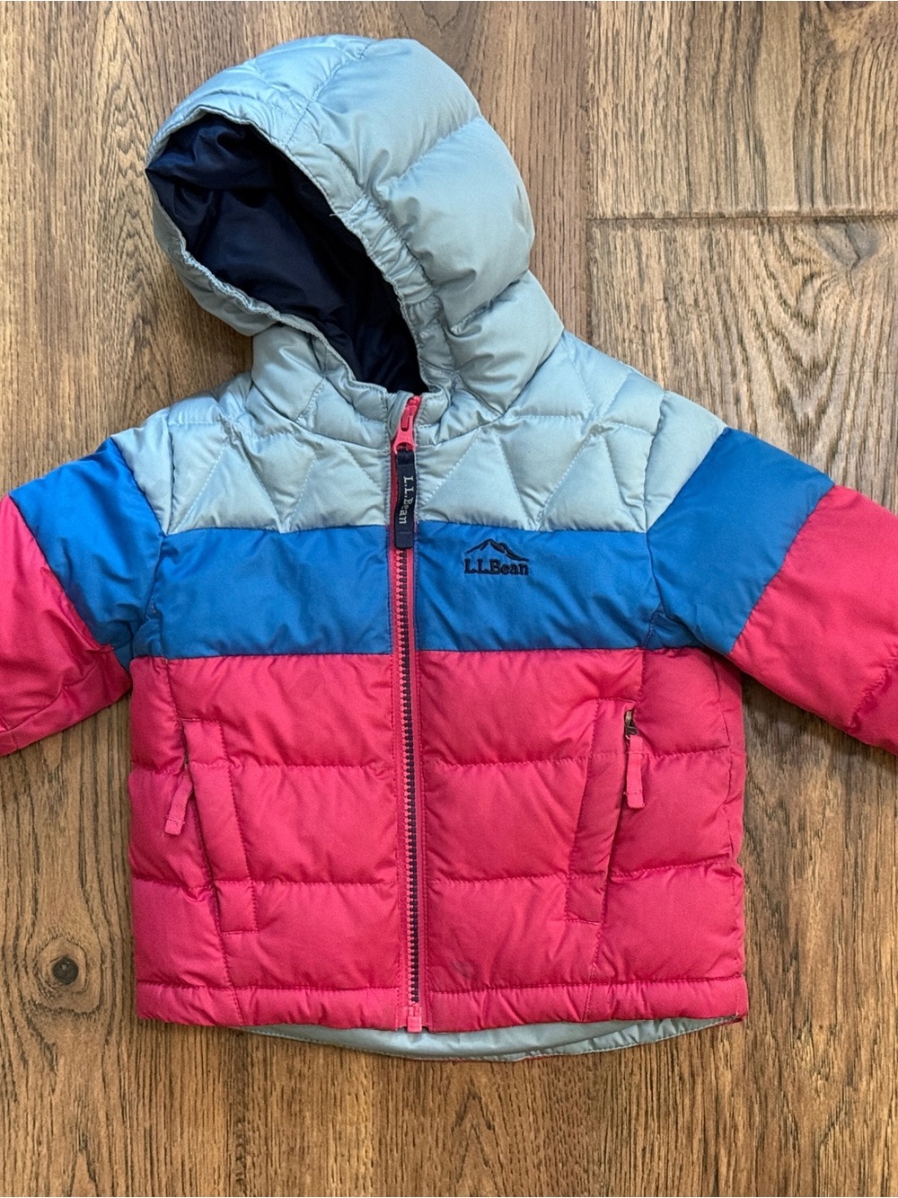 L.L. Bean Down Winter Jacket